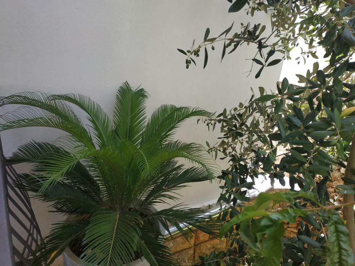 Apartment Lavanda Nova Razanj Exterior photo